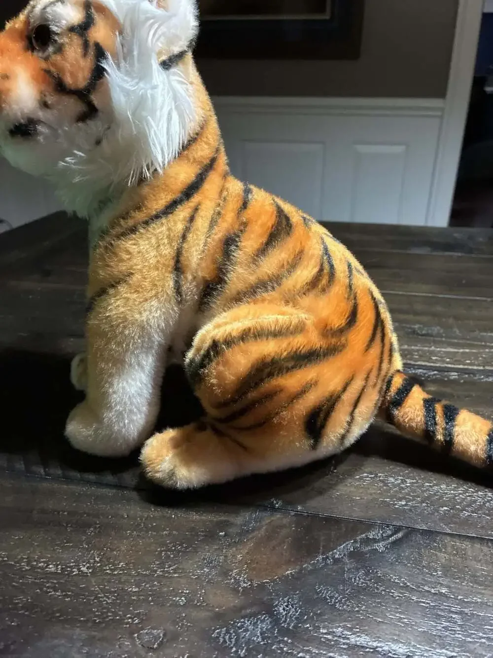Sugar Planet Sitting Tiger Cub Plush Stuffed Animal
